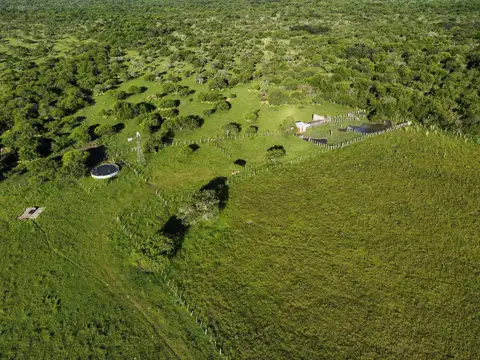 100 has muy buen campo ganadero y agrícola