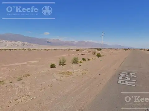 Campo 732  has en Venta Fiambala, Catamarca