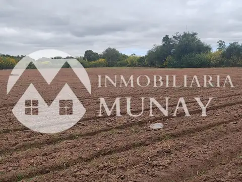 OPORTUNIDAD EN CORONEL MOLDES