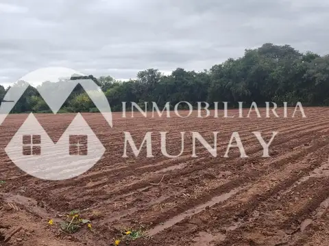 Vende Terreno En Coronel Moldes