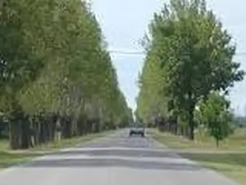 Campo en Venta de 3,80  ha