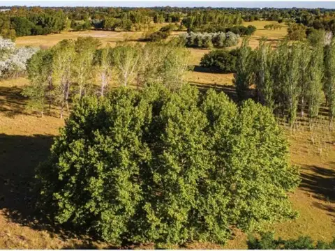 Excelente Oportunidad Terreno En Venta En Azzurra