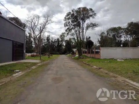 EL PATO - BERAZATEGUI