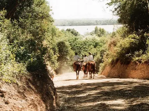 Venta en Estancia El Aduar Club de Chacras 2 has Bosque y Pampa, con mejoras
