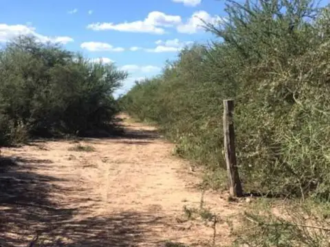 Campo en Venta de 87  ha