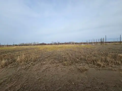 Terreno en Venta de 250,0 m2