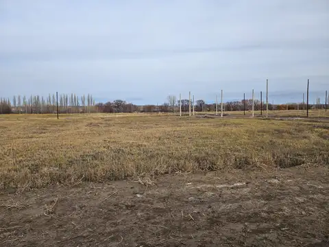 Terreno en Venta 25  mts Fondo