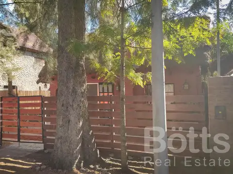 Old Man al 1800 lote 54