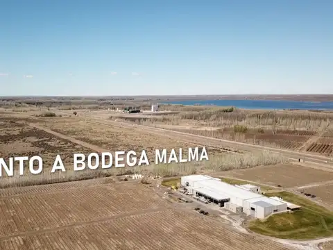 NODO LAS CORTADERAS | LOTE LS27