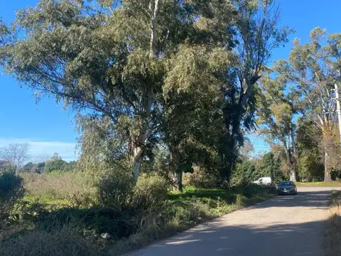 Terreno apto varios usos. Villa Astolfi.