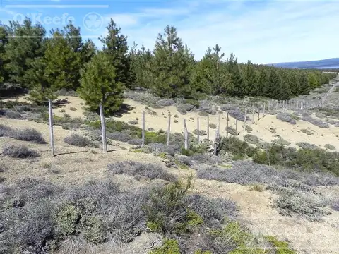 TERRENO DE 4 HAS EN VILLA PEHUENIA IDEAL COMERCIAL  - DESARROLLO