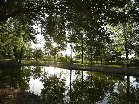 Terreno en Venta 13  mts Frente