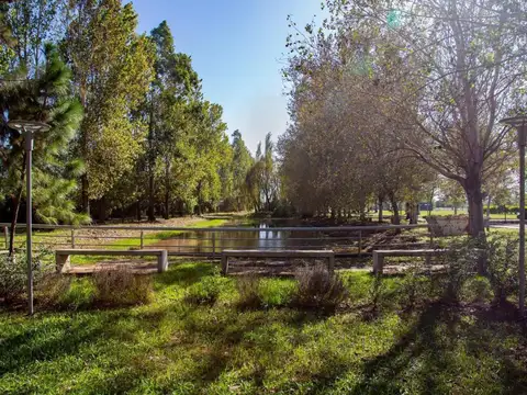 Terreno en Venta 29  mts Fondo