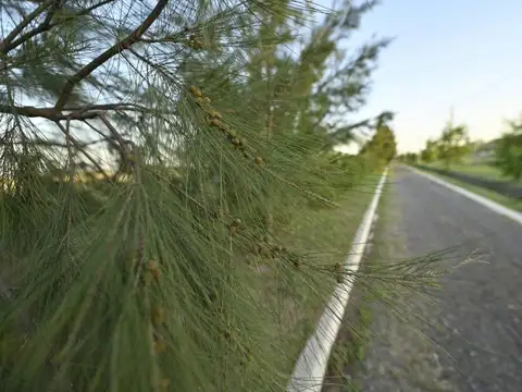 Terreno en Venta de 385,0 m2