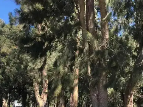 Campo en venta - 12.222Mts2 - Villa Elvira, La Plata