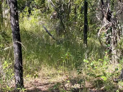 Terreno de 1 ha en Laguna Brychan