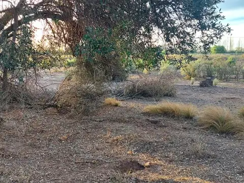 Terreno en Venta en Rama Caida, USD 35.000