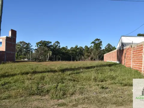 Vito Moreno y Sarmiento 100