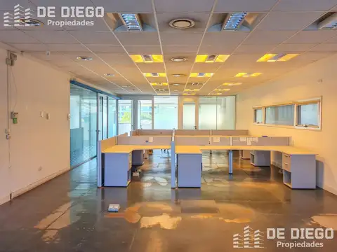 Oficina en Alquiler 20 años