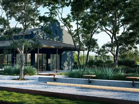 San Lorenzo Chico 100