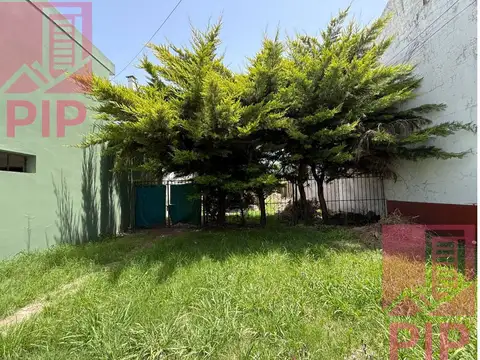 Monseñor De Andrea 600