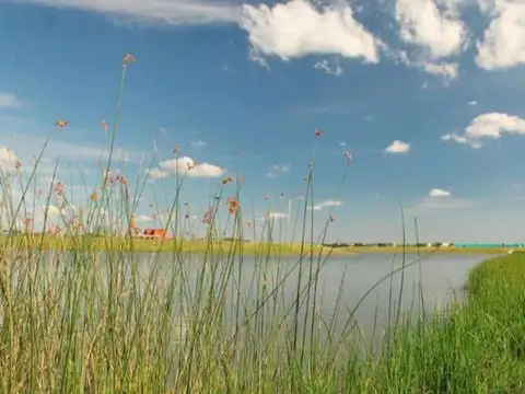 Terreno en Venta de 981,0 m2