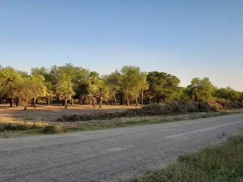 Terreno en Venta de 1000,0 m2