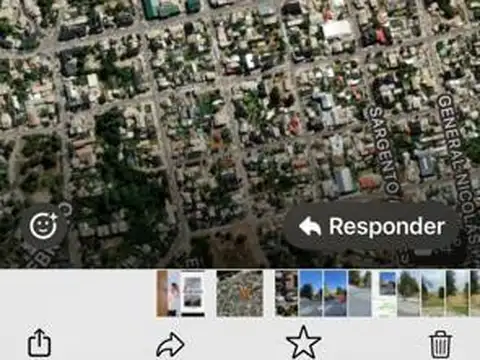 Elflein/Rolando/ P. Moreno