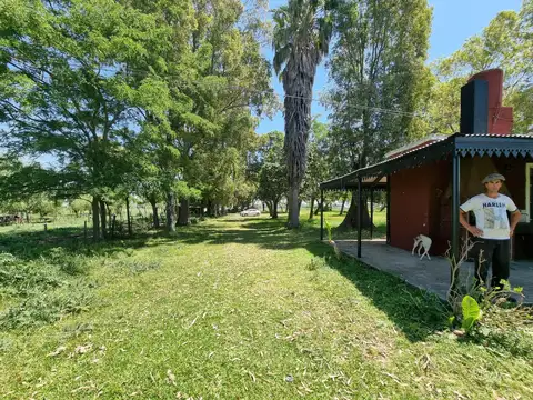 Campo en venta - 78.8 hectareas - General Rodríguez