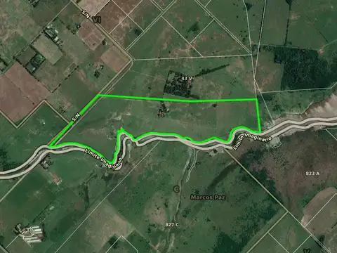 Campo en venta - 78.8 hectareas - General Rodríguez