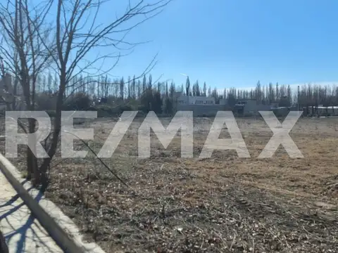 Terreno en Venta en Plottier, USD 18.000