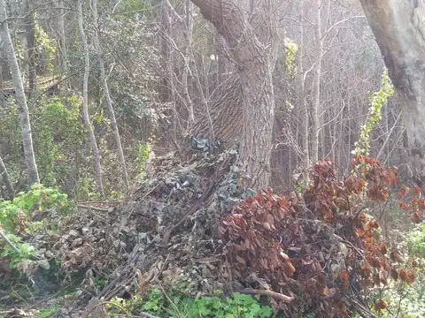 Terreno en Venta en Las Gaviotas, USD 45.000