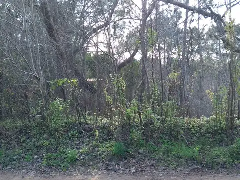 Lote Unifamiliar apto 2 viviendas (L099)