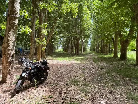 Campo de 26 hectáreas con casona