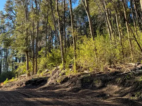 Venta lote Villa La Angostura