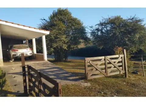 Los Talas son número , Piso 0