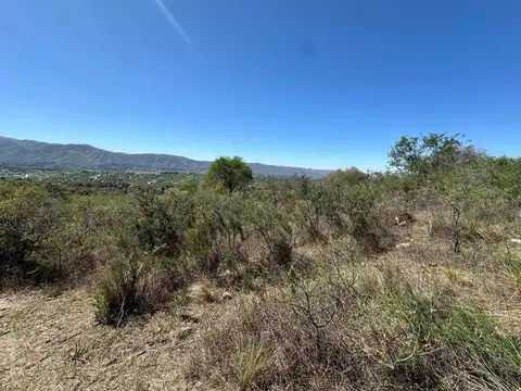 doctora alicia moreau de justo