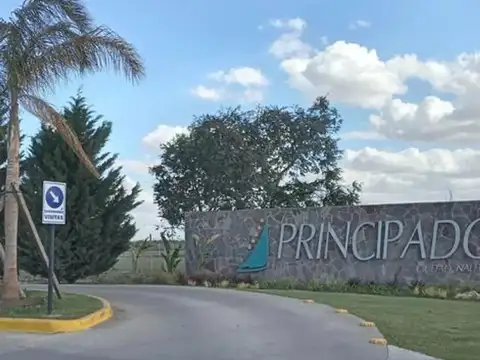 Departamento en Alquiler Permite mascota