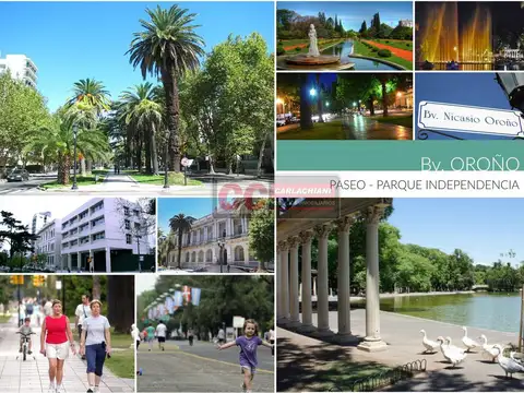 Local en Venta en Centro, USD 52.900