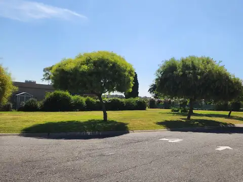 Pilar del Este . San Ramiro