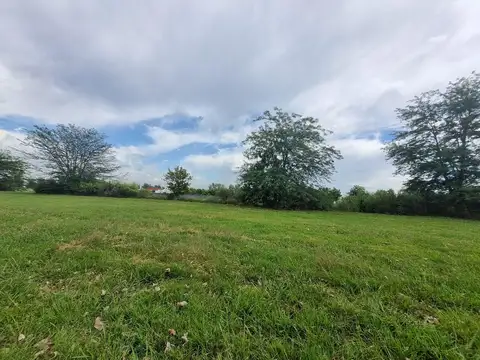 Terreno en Venta de 2000,0 m2