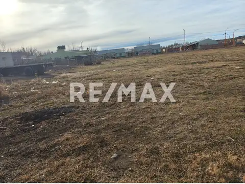 Maria Leticia Sosa de Romera 100