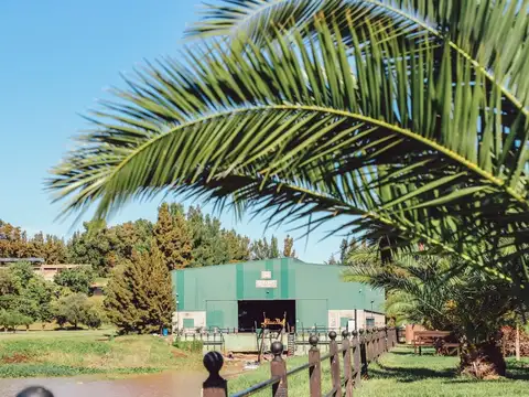 Terreno en Venta en Fighiera, USD 56.000