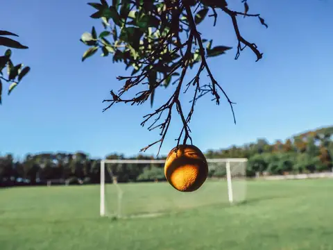 VENTA LOTE 775M2 AZAHARES DEL PARANA