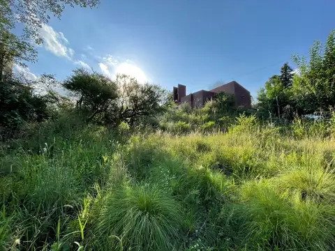 Terreno en Venta 50  mts Fondo