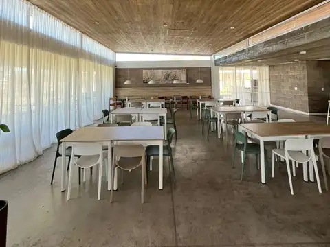 LA ARBOLADA  - San Lorenzo