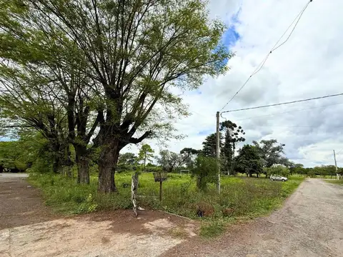 Terreno en Venta de 305,0 m2