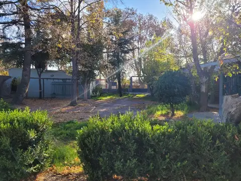 BANDERA DE LOS ANDES Y CORRIENTES