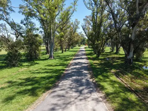 Terreno en Venta de 1264,0 m2