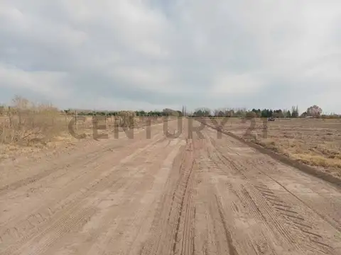 El Chañaral y Las Vírgenes 100, Piso 0